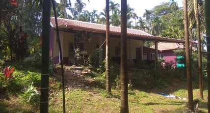 Mithila Nature Stay - Agumbe Homestay Room Type - Family Room - NONAC