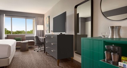 Hilton Baltimore BWI Airport Room Type - 1KNG MOB HEARING ACC W TUB