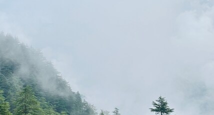 MOUNTAIN MELODY HOMESTAY & CAFE Room Type - Forest Valley View