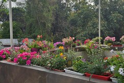 Bethel Air BnB and Homestay Sinaula