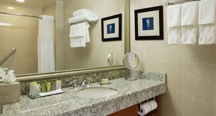 DoubleTree by Hilton Hotel Miami Airport & Convention Center Room Type - 1 KING JR SUITE W  SOFABED