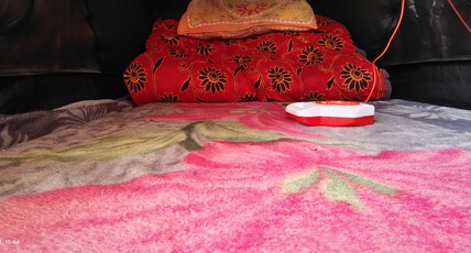 Bharatpur House Camp - 100 Mtr From Temple Room Type - Bedroom 7