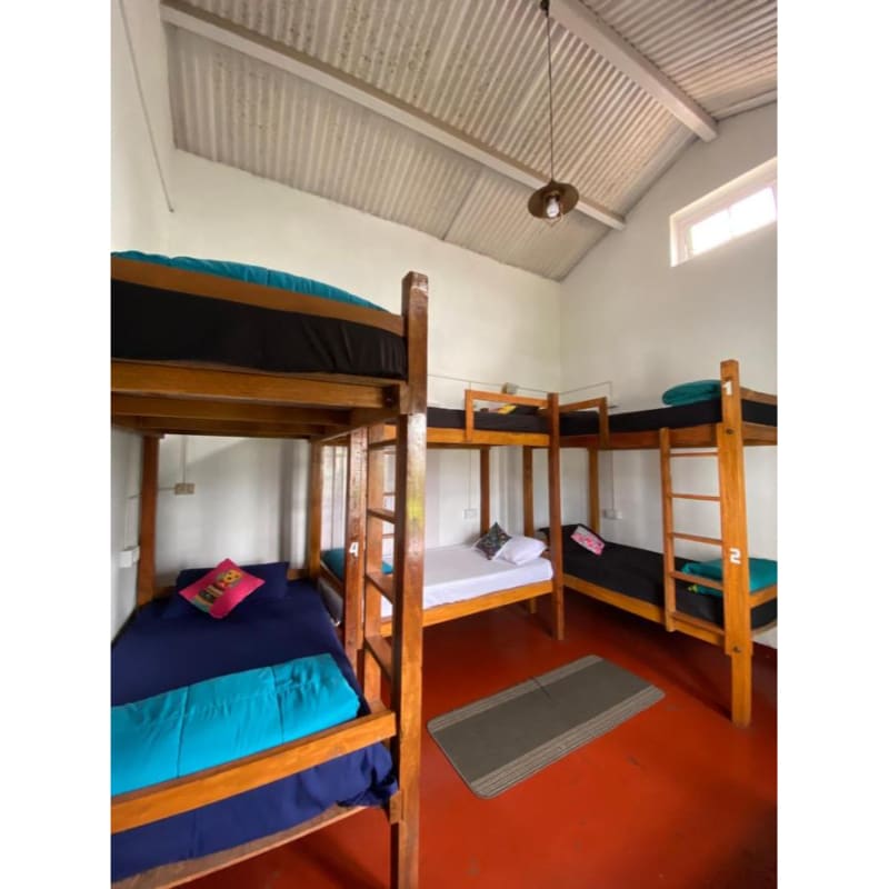 The Birdhouse Backpackers Hostel - Tap to explore photos
