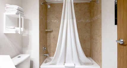 Hampton Inn by Hilton Durango Room Type - 2 QNS HEARING ACC NOSMOK