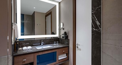 Tbilisi Philharmonic Hotel by Mercure Room Type - Classic Room with 1 double bed