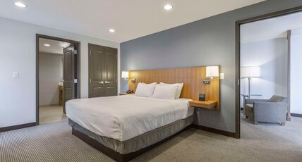 DoubleTree by Hilton Asheville Downtown Room Type - 1 KG MOUNTAIN VW 2 RM STE
