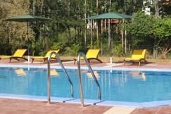 MC Resort Bandipur