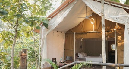 Yaarnagar Jungle Resort, Ratapani Tiger Reserve Room Type - Safari Cottage Without Jacuzzi