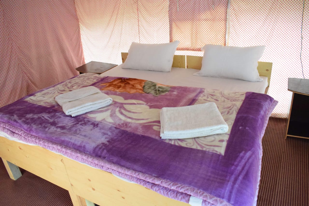 Nubra Pika Camp - Tap to explore photos