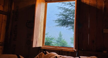 Wolf Stays Room Type - Bedroom 6
