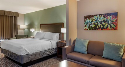 Holiday Inn Express Indio Room Type - 1 King Bed Standard Sofa Bed