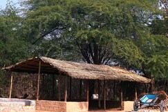 AARANY JUNGLE RESORT AND ADVENTURE