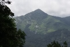 Vythiri Danish Resort