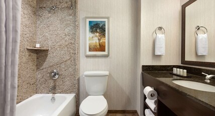 Embassy Suites by Hilton Brea - North Orange County Room Type - 1 KING PREMIUM SUITE