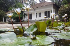 Mushroomhut Resort