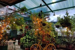 The Nook Rooftop Condo and Garden