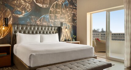 Hotel Indigo NAPERVILLE RIVERWALK, an IHG hotel Room Type - Premium Room