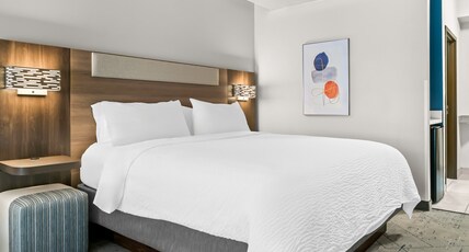 Holiday Inn Express Hotel & Suites - Novi Room Type - STANDARD ROOM