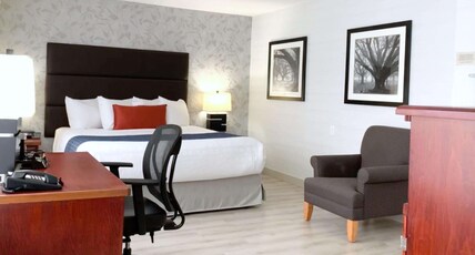 Best Western Plus Regency Inn and Conference Centre Room Type - 1 King Bed, Non-Smoking, Mobility Accessible, Business Plus Room, Microwave And Refrigerator, Pillow
