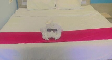 HOTEL HINDUSTAN HEAVEN Room Type - Deluxe Room