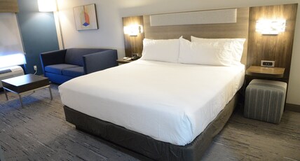 Holiday Inn Express ATHENS Room Type - 1 King Bed Suite Sofa Bed