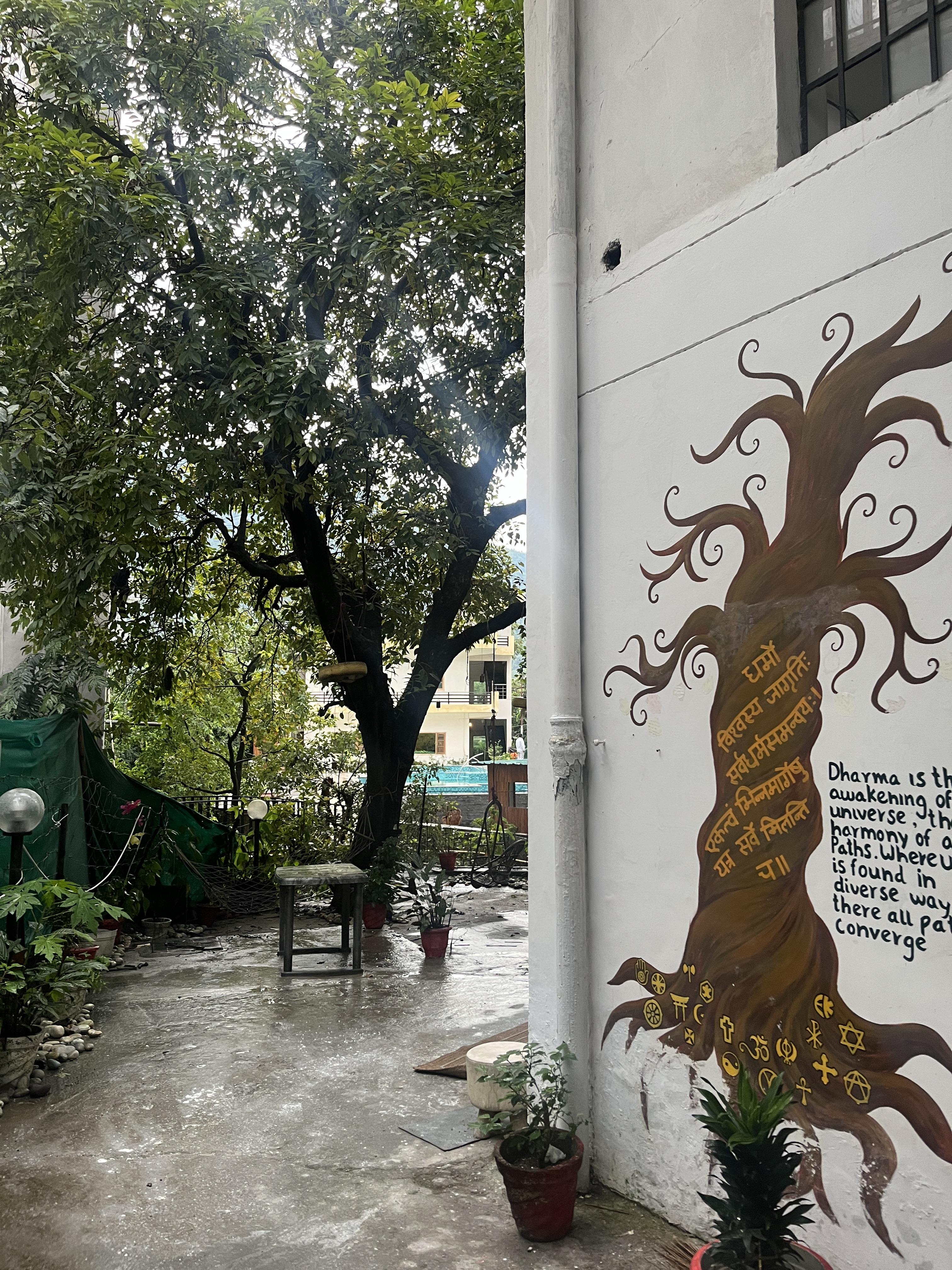 room in rishikesh - Tap to explore photos