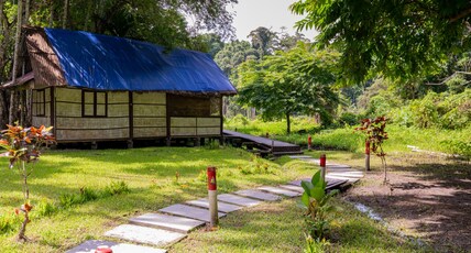 The Forest Elephant - Formerly known as The Flying Elephant Room Type - Paddy Bungalow