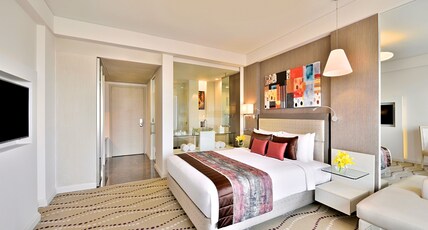 Radisson Blu Bengaluru Outer Ring Road Room Type - Superior Room