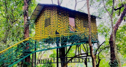 Tree Top Resort to Tree Top Resort Near Silent Valley Room Type - Tree House Superior