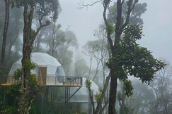 Willmount Resort | Premier Luxury Nature Glamps In The Western Ghats