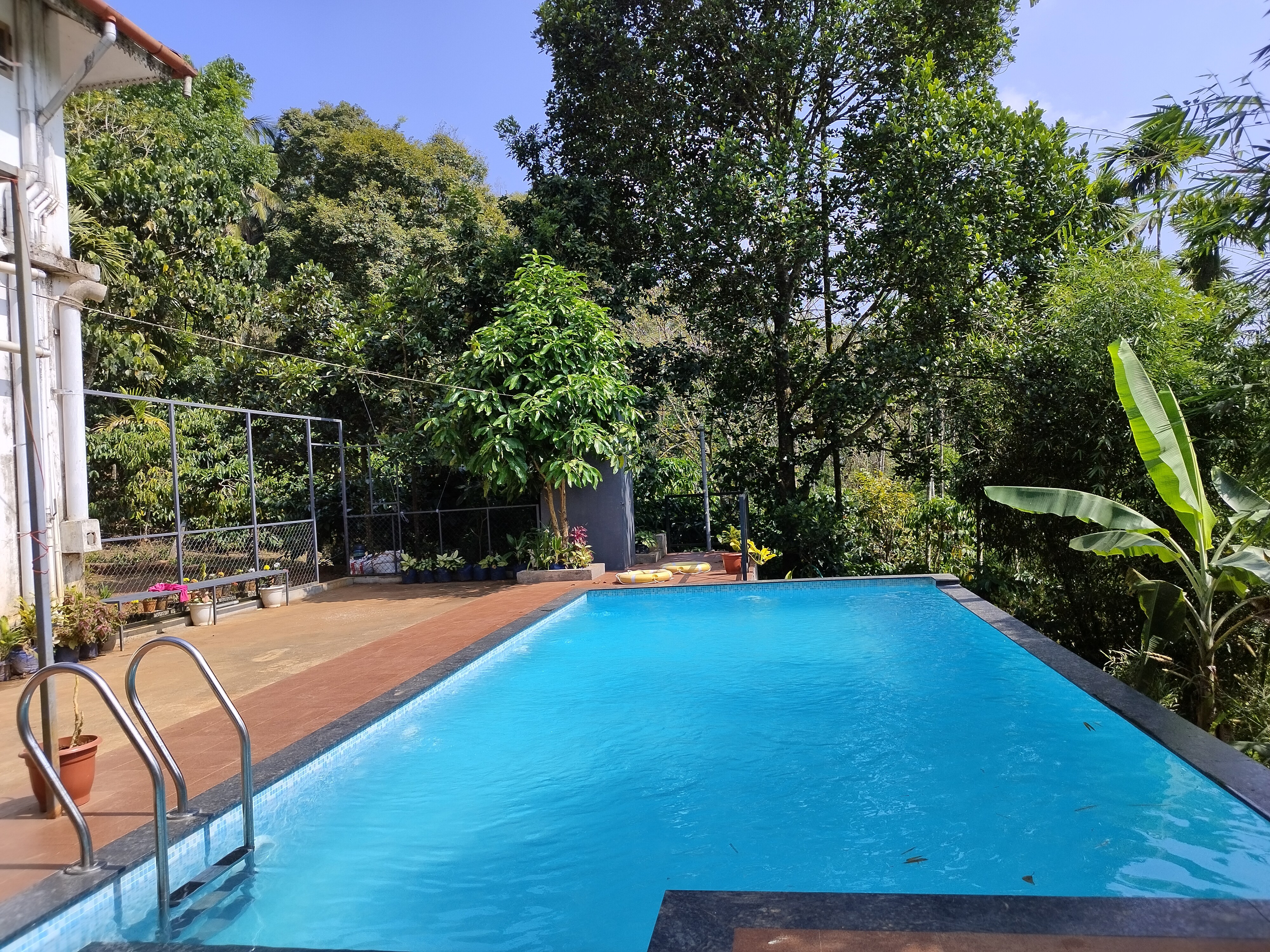Zicilys Garden Home Stay and Service Villa - Tap to explore photos