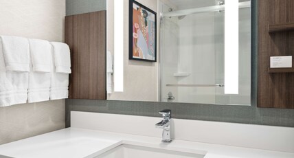 Hilton Garden Inn Bloomington Room Type - 1 KING SHOWER