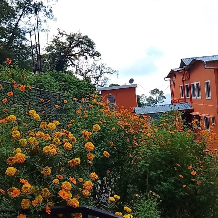 Green Canvas Homestay - Tap to explore photos