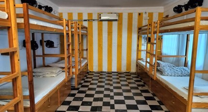 Jungle by sturmfrei Pushkar Room Type - 10 Bed Mixed AC Dorms