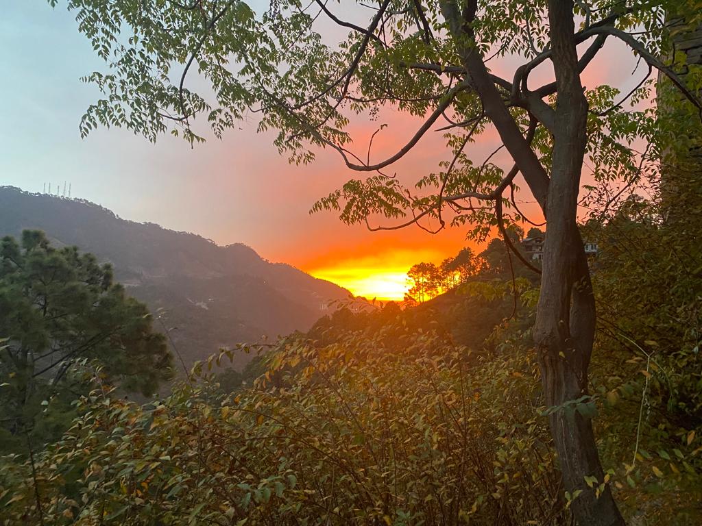 Misty Meadows Resorts - Tap to explore photos