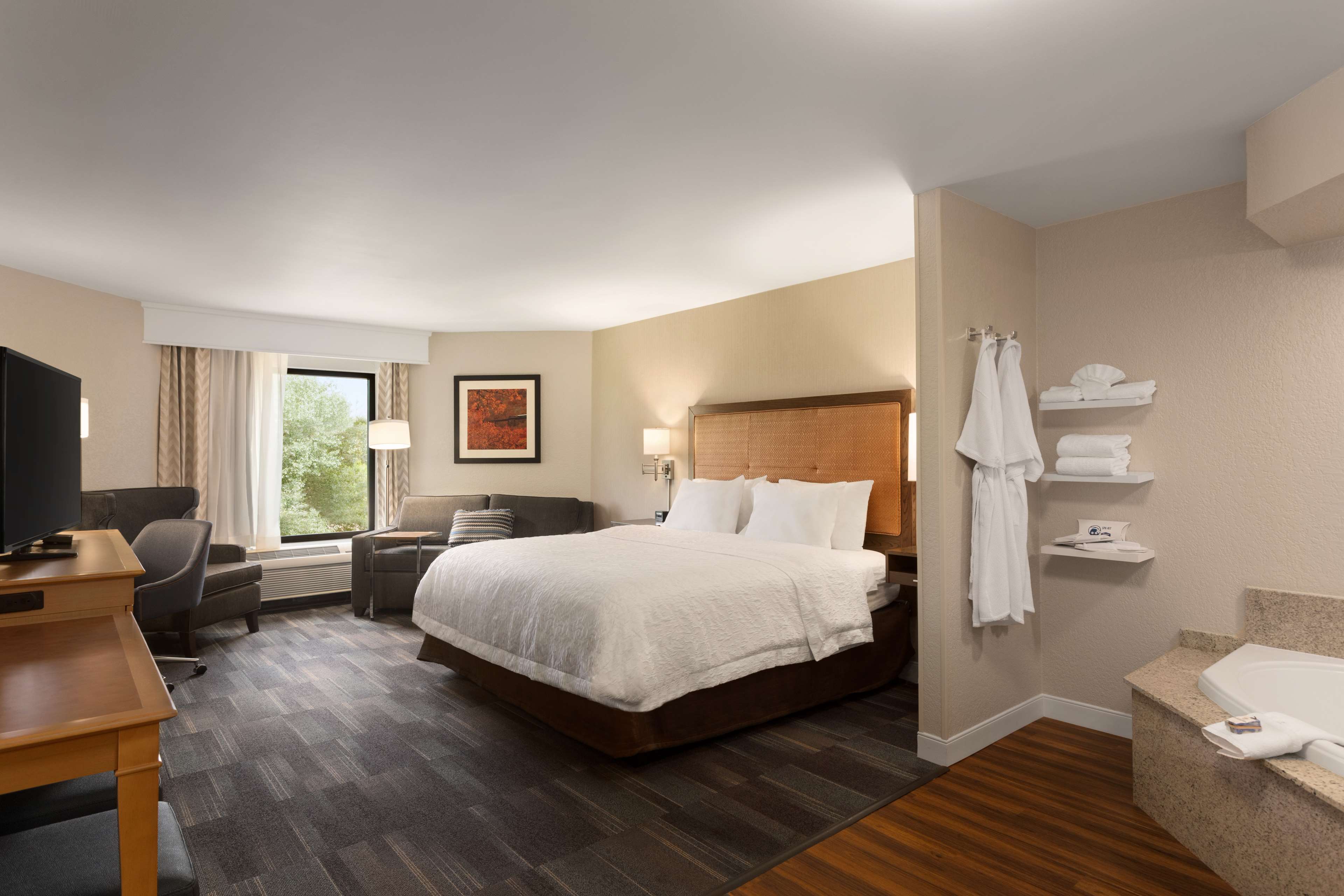 Hampton Inn by Hilton Fort Smith - Tap to explore photos
