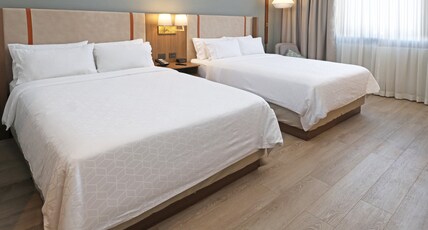Holiday Inn NAVOJOA Room Type - Standard Room