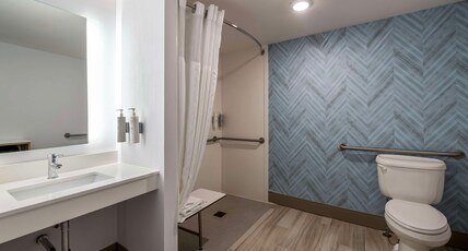 Hilton Garden Inn Williamsburg Room Type - 1KNG MOB HEARNG ACC RI-SHW
