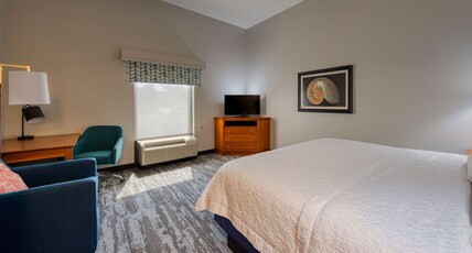 Hampton Inn Wilmington University Area Room Type - 1KING REFRIG MICRO NOSMOK