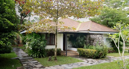 Misty Grove, Nadugani (30 kms from Masinagudi) Room Type - Standard room