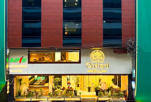 Orchard Bliss