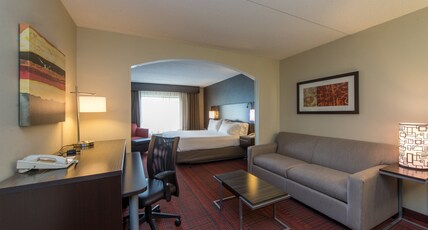 Holiday Inn Express & Suites AUBURN Room Type - 1 King Bed 1 Bedroom Suite