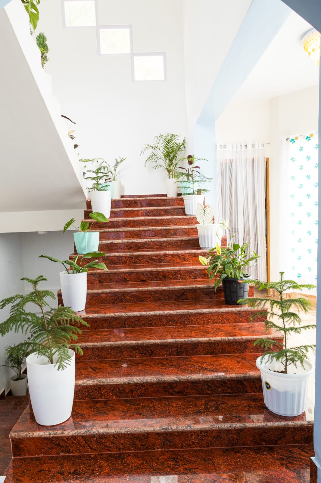 Choeying s Homestay - Tap to explore photos