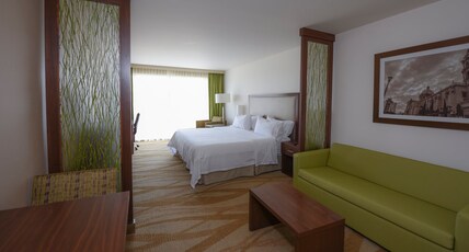 Holiday Inn Express & Suites CELAYA Room Type - 1 King Standard Top Floor