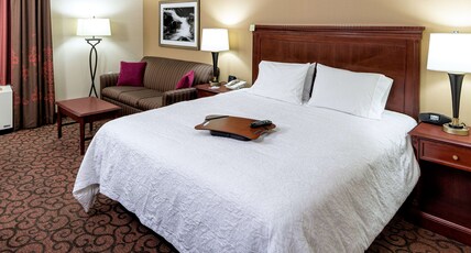 Hampton Inn by Hilton Littleton Room Type - 1 KING SFBD MIC FRG NS
