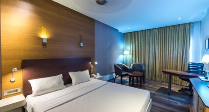 Hotel Indraprastha Room Type - Executive Room