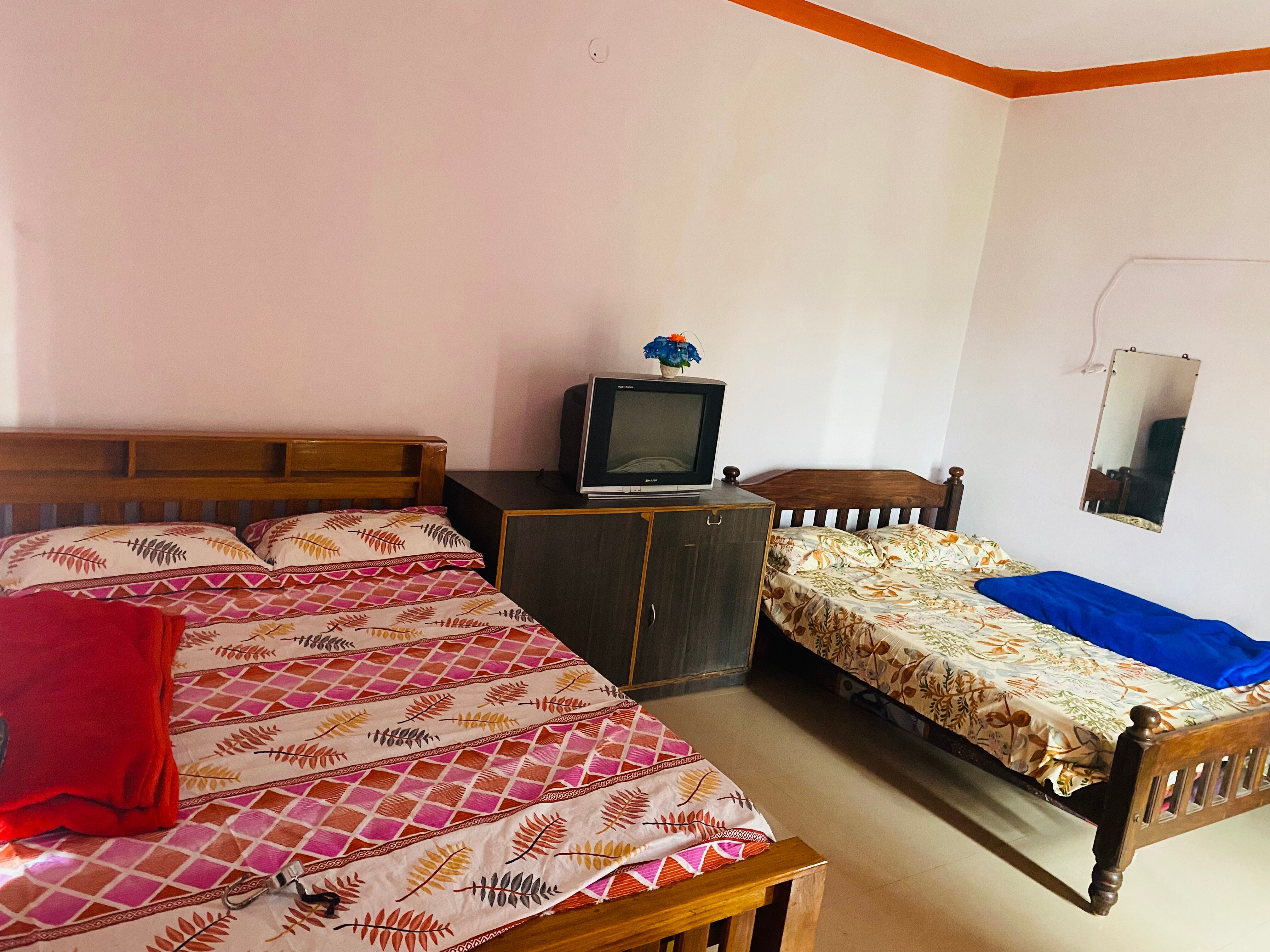 Pink orchid - Tap to explore photos