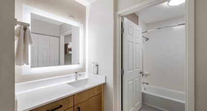 Staybridge Suites Chesapeake-Virginia Beach Room Type - 1 Queen Studio Suite