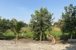 VR FARM  Stay Chevella