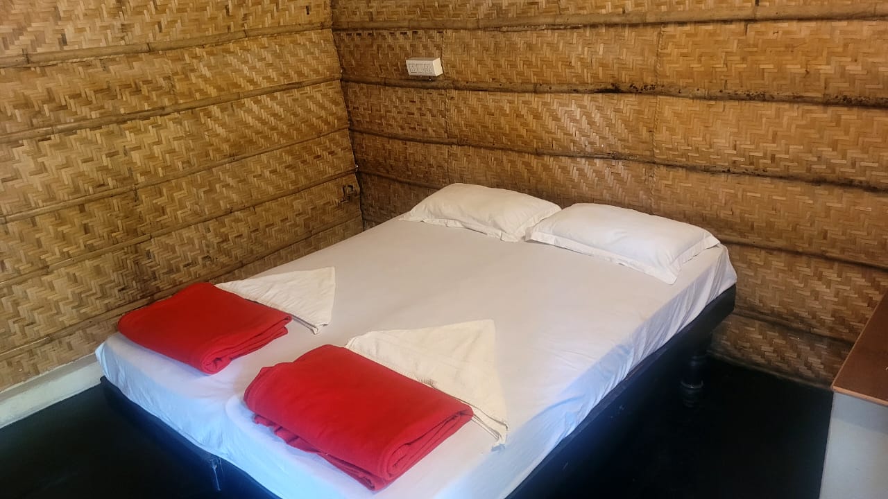 Monkey Paradise cafe - Tap to explore photos